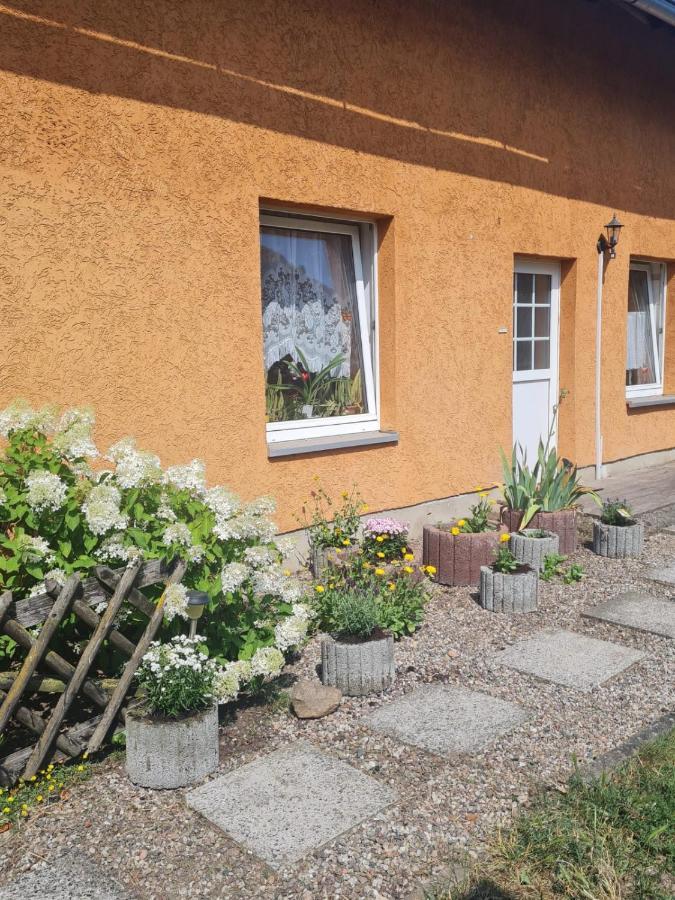 Ferienwohnung Warnitz Blankenburg  Exteriör bild